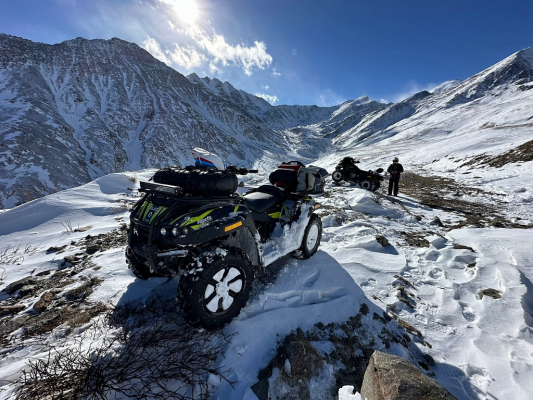 Электроквадроцикл ELIQ RM 650