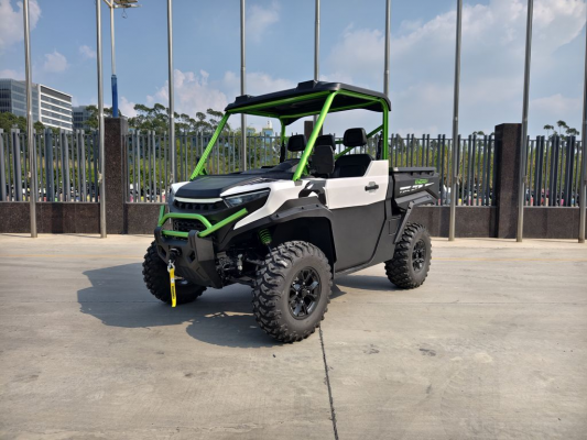 Багги CHEETAH Electric UTV