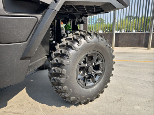 Багги CHEETAH Electric UTV